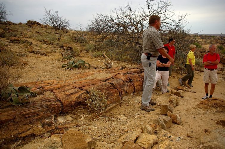564 Namibia Okt 2006 .JPG